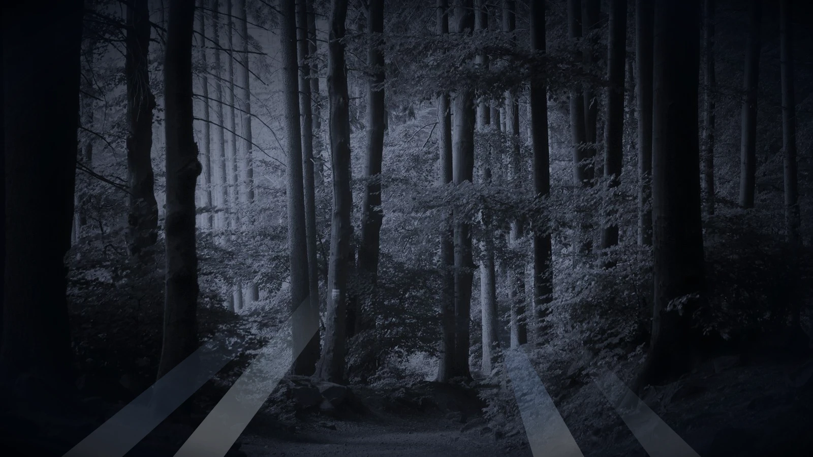 The Girl Who Sings in the Forest — Scene 1: The Four Men Entering Whispering Woods - The Girl Who Sings in the Forest Horror Movie Scene Still 4K Wallpaper
