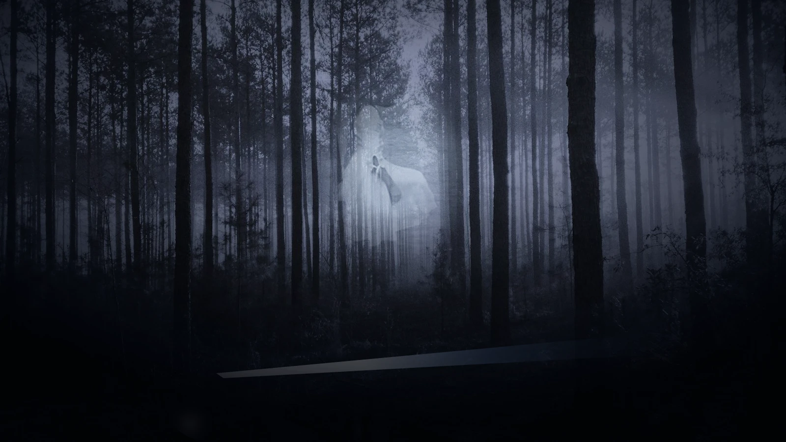The Girl Who Sings in the Forest — Scene 3: The Floating Specter & Rohan's Dropped Flashlight - The Girl Who Sings in the Forest Horror Movie Scene Still 4K Wallpaper