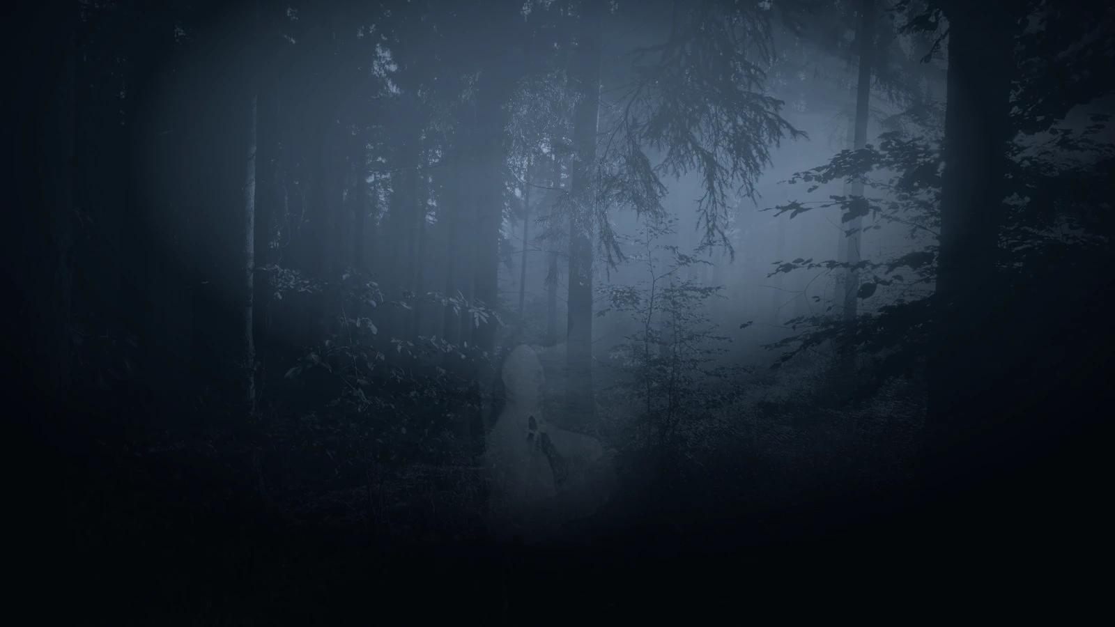 The Girl Who Sings in the Forest